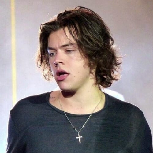 Image of Harry Styles with shaggy mullet